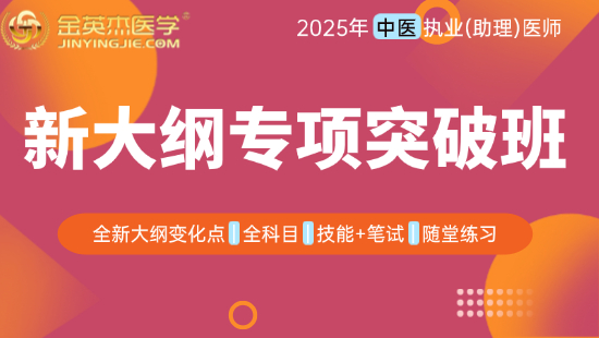 2025年中医执业医师新大纲专项突破班